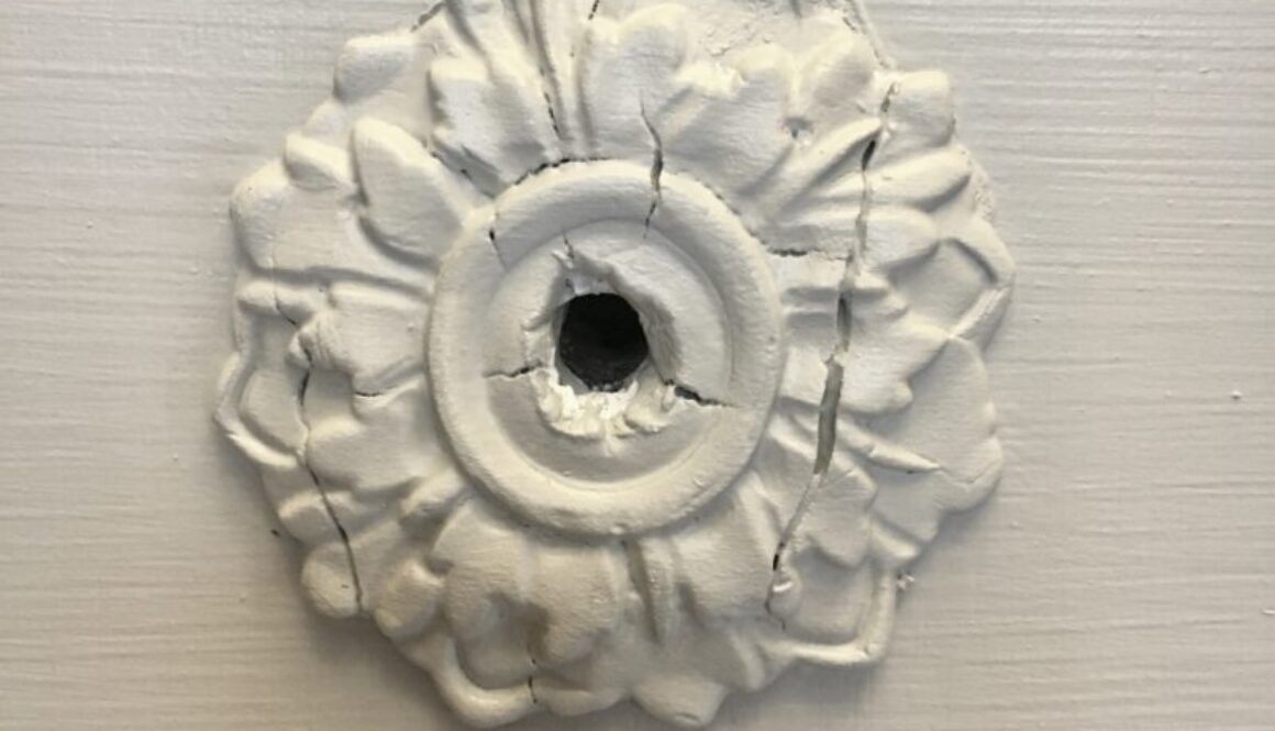 Prima IOD paper clay blooper